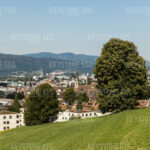 533915017_preview