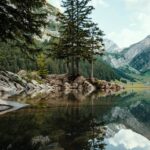 alain-gehri-mFxIjtE9JmQ-unsplash