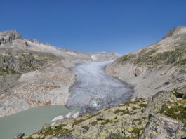 Protection du climat : il faut plus d’investissements publics