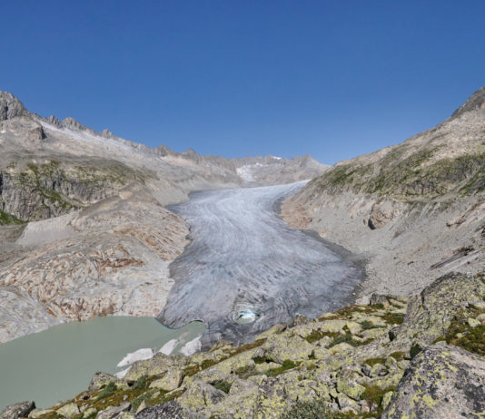 Protection du climat : il faut plus d’investissements publics