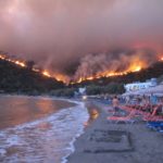 BUSCHFEUER, FEUER,