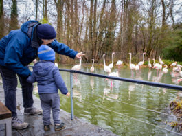 « Nous n’avons plus les moyens de nous offrir un restaurant ou une sortie » : des retraité-es témoignent