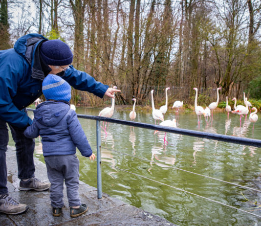 « Nous n’avons plus les moyens de nous offrir un restaurant ou une sortie » : des retraité-es témoignent