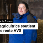 DirektDirect Webvorschau