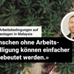 240422_Palmöl_Web
