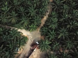 « Les personnes sans permis de travail peuvent être plus facilement exploitées. »