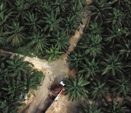 « Les personnes sans permis de travail peuvent être plus facilement exploitées. »