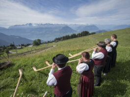 La Suisse alémanique fera-t-elle capoter le plafonnement des primes ?