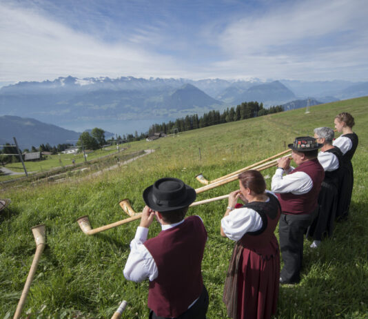 La Suisse alémanique fera-t-elle capoter le plafonnement des primes ?