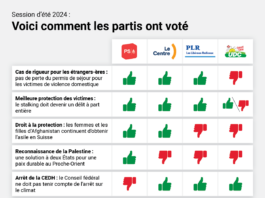 Session d’été 2024 : voici comment les partis ont voté