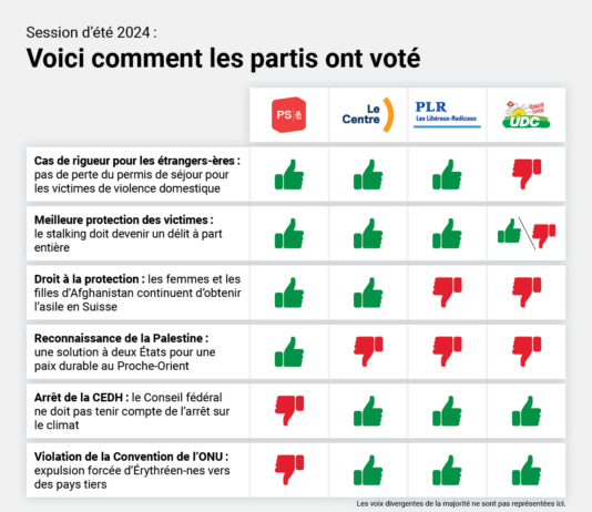 Session d’été 2024 : voici comment les partis ont voté