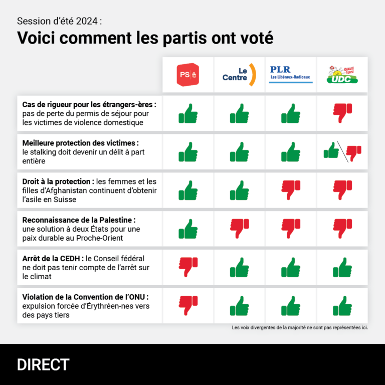 Session d’été 2024 : voici comment les partis ont voté