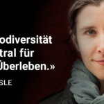 240829_Asti_Web