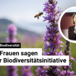 DirektDirect Webvorschau (43)