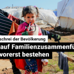 240925_Asyl_Web