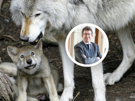 Albert Rösti n’en fait qu’à sa tête : cinq décisions arbitraires du ministre de l’environnement