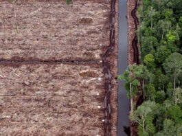 Une large alliance veut rendre la place financière suisse plus propre