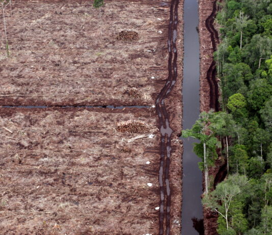Une large alliance veut rendre la place financière suisse plus propre