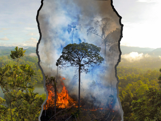 Comment UBS et Zurich alimentent la crise climatique