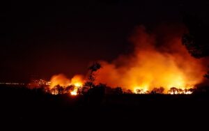 Les feux de forêt dévastateurs se multiplient en raison de la crise climatique.