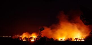 Les feux de forêt dévastateurs se multiplient en raison de la crise climatique.