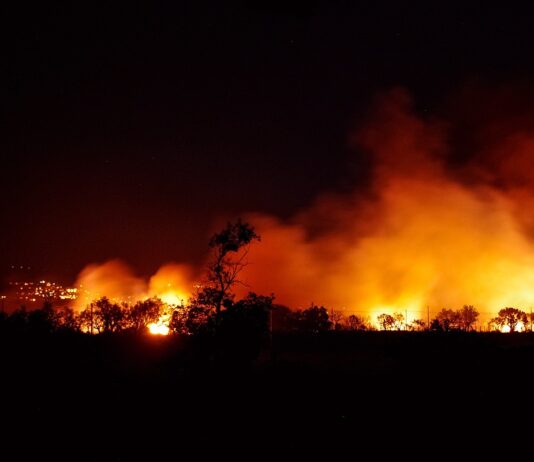 La crise climatique met en danger l’économie mondiale Les feux de forêt dévastateurs se multiplient en raison de la crise climatique.