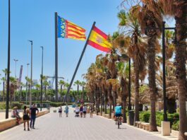 Espagne : le gouvernement augmente le salaire minimum et réduit la semaine de travail Un groupe de personnes marche le long d'une route à côté de palmiers à Valence en Espagne.