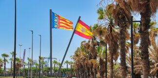 Un groupe de personnes marche le long d'une route à côté de palmiers à Valence en Espagne.