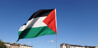 Manifestation Gaza Genève