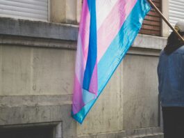 Attaque contre les personnes trans : l’UDC ignore le consensus scientifique Un drapeau de la fierté transgenre aux bandes horizontales bleu clair, rose et blanc flotte sur une hampe en bois, tenu par une personne vue de dos en veste en jean, devant un mur de pierre grise usée.