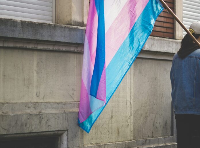 Un drapeau de la fierté transgenre aux bandes horizontales bleu clair, rose et blanc flotte sur une hampe en bois, tenu par une personne vue de dos en veste en jean, devant un mur de pierre grise usée.