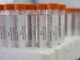 PFAS : le Parlement ne prend que des mesures limitées contre ces substances chimiques persistantes Vue rapprochée de plusieurs tubes à centrifuger Corning CentriStar, munis de bouchons orange et d’étiquettes indiquant « PFA694E 0,05 g – GenX 4183 ng/L – PFAS », rangés dans un support en mousse blanche.