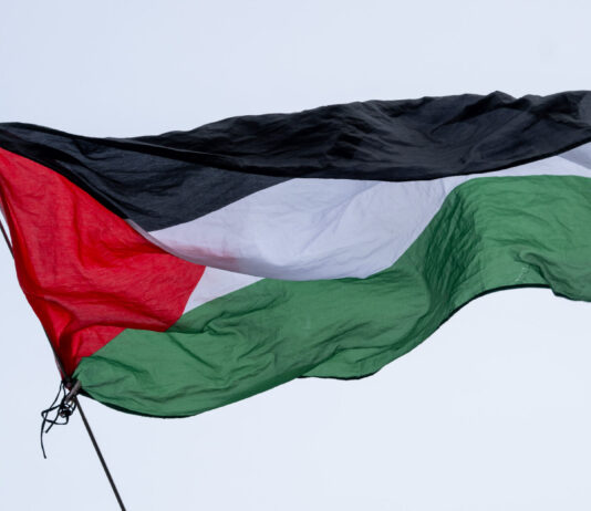 80 % des États membres de l’ONU reconnaissent la Palestine Le drapeau de la Palestine