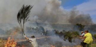Photo couleur d’un champ en flammes où trois personnes s’emploient à étouffer un feu de broussailles à l’aide de grandes branches. À gauche, une femme âgée, vêtue d’un tablier et coiffée d’un chapeau, frappe les flammes avec un rameau touffu. À droite, un homme casquette sur la tête et une femme portant un t-shirt jaune font de même. De la fumée bleutée s’élève, couvrant partiellement les buissons et la colline au loin. Le sol est sec, herbes roussies et tiges calcinées témoignent de l’incendie.