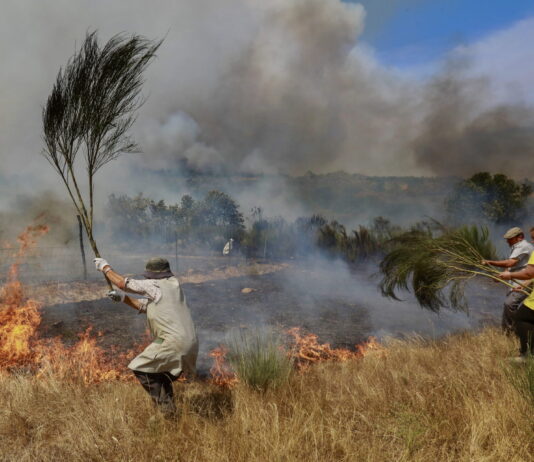 Été 2025 : le réchauffement climatique coûte 40 milliards de francs à l’Europe Photo couleur d’un champ en flammes où trois personnes s’emploient à étouffer un feu de broussailles à l’aide de grandes branches. À gauche, une femme âgée, vêtue d’un tablier et coiffée d’un chapeau, frappe les flammes avec un rameau touffu. À droite, un homme casquette sur la tête et une femme portant un t-shirt jaune font de même. De la fumée bleutée s’élève, couvrant partiellement les buissons et la colline au loin. Le sol est sec, herbes roussies et tiges calcinées témoignent de l’incendie.