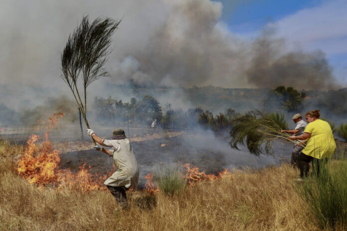 Photo couleur d’un champ en flammes où trois personnes s’emploient à étouffer un feu de broussailles à l’aide de grandes branches. À gauche, une femme âgée, vêtue d’un tablier et coiffée d’un chapeau, frappe les flammes avec un rameau touffu. À droite, un homme casquette sur la tête et une femme portant un t-shirt jaune font de même. De la fumée bleutée s’élève, couvrant partiellement les buissons et la colline au loin. Le sol est sec, herbes roussies et tiges calcinées témoignent de l’incendie.