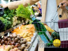Nestlé, Coca-Cola et PepsiCo : les trois géants mondiaux du marché alimentaire Dans une épicerie, une personne vêtue d’un manteau beige tient un panier métallique rempli d’une bouteille d’eau gazeuse, d’un bouquet de fanes de carottes, d’un citron, d’une courgette et de quelques produits emballés. Elle se tient devant les étals garnis de choux, de brocolis, de betteraves, de navets et de carottes.