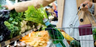 Dans une épicerie, une personne vêtue d’un manteau beige tient un panier métallique rempli d’une bouteille d’eau gazeuse, d’un bouquet de fanes de carottes, d’un citron, d’une courgette et de quelques produits emballés. Elle se tient devant les étals garnis de choux, de brocolis, de betteraves, de navets et de carottes.