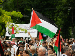 La majorité de la population suisse souhaite reconnaître la Palestine comme État Manifestation en plein air où une foule dense de personnes de tous âges brandit des drapeaux de la Palestine. Au centre, un manifestant lève un grand drapeau aux bandes noire, blanche et verte avec un triangle rouge à la hampe. En arrière-plan, on distingue une banderole blanche tenue par d’autres manifestants, des arbres verdoyants et des panneaux de signalisation routière.