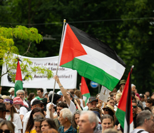 La majorité de la population suisse souhaite reconnaître la Palestine comme État Manifestation en plein air où une foule dense de personnes de tous âges brandit des drapeaux de la Palestine. Au centre, un manifestant lève un grand drapeau aux bandes noire, blanche et verte avec un triangle rouge à la hampe. En arrière-plan, on distingue une banderole blanche tenue par d’autres manifestants, des arbres verdoyants et des panneaux de signalisation routière.