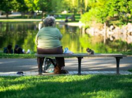 Faciliter l’accès aux prestations complémentaires : double « non » du Parlement Une femme âgée assise sur un banc dans un parc, nourrissant un écureuil près d'un étang. Arrière-plan verdoyant et ensoleillé.
