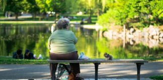 Faciliter l’accès aux prestations complémentaires : double « non » du Parlement Une femme âgée assise sur un banc dans un parc, nourrissant un écureuil près d'un étang. Arrière-plan verdoyant et ensoleillé.
