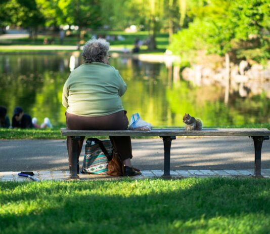 Faciliter l’accès aux prestations complémentaires : double « non » du Parlement Une femme âgée assise sur un banc dans un parc, nourrissant un écureuil près d'un étang. Arrière-plan verdoyant et ensoleillé.
