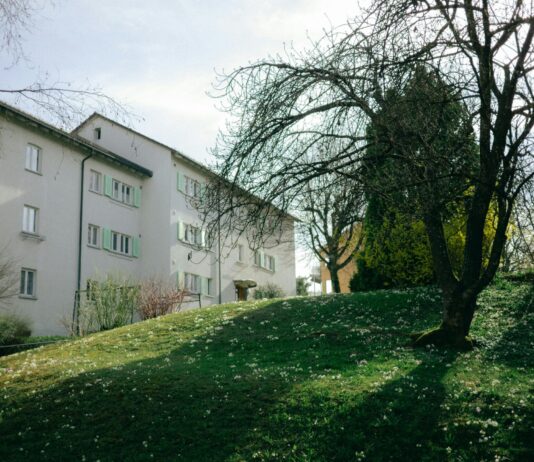 Les loyers sont trop hauts : où peut-on encore se permettre de louer un appartement ? Immeuble résidentiel de plusieurs étages avec façade blanche et fenêtres vertes, situé en bordure d'un terrain herbeux en pente. Des arbres aux branches partiellement feuillues ombragent le jardin, tandis qu'un ciel gris-blanc complète le paysage automnal ou printanier.