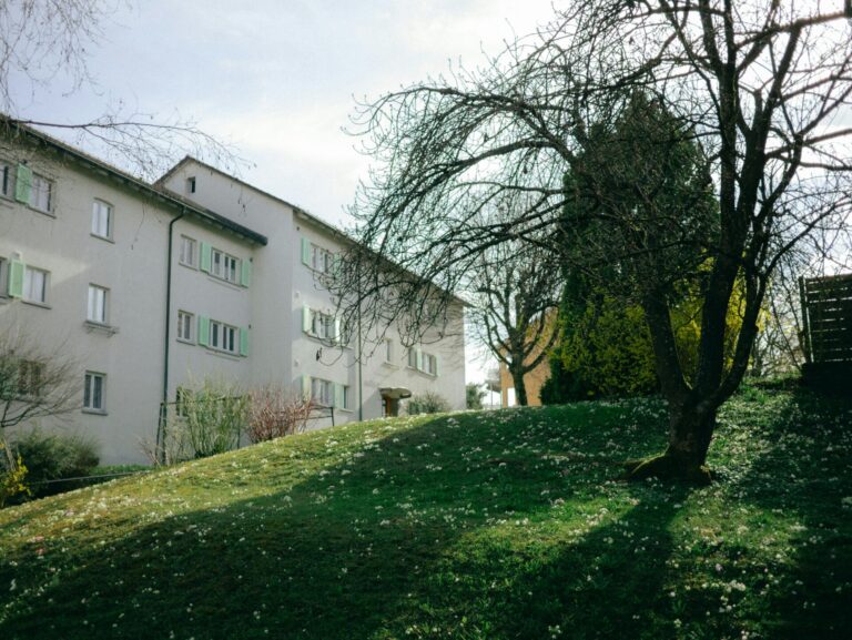 Immeuble résidentiel de plusieurs étages avec façade blanche et fenêtres vertes, situé en bordure d'un terrain herbeux en pente. Des arbres aux branches partiellement feuillues ombragent le jardin, tandis qu'un ciel gris-blanc complète le paysage automnal ou printanier.