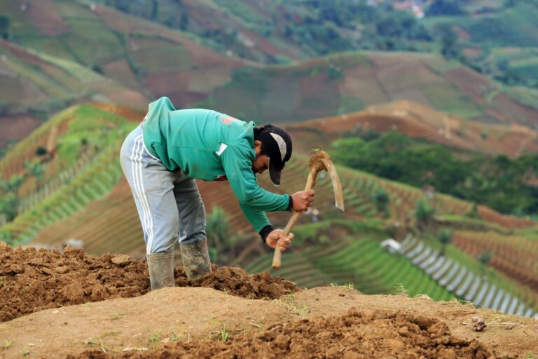 Une personne travaille la terre avec une houe dans un champ en terrasse situé sur une colline, avec un paysage agricole vallonné en arrière-plan.