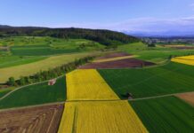 Initiative pour une alimentation sûre : la mise en œuvre d’un objectif louable est irréaliste Vue aérienne d'une région agricole avec champs cultivés de différentes couleurs, incluant des champs jaunes de colza, des champs verts et des terres labourées brunes, séparés par des routes sinueuses et des bandes boisées, avec des montagnes enneigées visibles à l'horizon et un petit village en arrière-plan sous un ciel bleu dégagé.