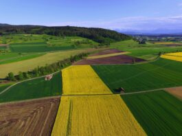 Initiative pour une alimentation sûre : la mise en œuvre d’un objectif louable est irréaliste Vue aérienne d'une région agricole avec champs cultivés de différentes couleurs, incluant des champs jaunes de colza, des champs verts et des terres labourées brunes, séparés par des routes sinueuses et des bandes boisées, avec des montagnes enneigées visibles à l'horizon et un petit village en arrière-plan sous un ciel bleu dégagé.