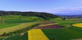 Initiative pour une alimentation sûre : un objectif louable face aux contraintes réelles Vue aérienne d'une région agricole avec champs cultivés de différentes couleurs, incluant des champs jaunes de colza, des champs verts et des terres labourées brunes, séparés par des routes sinueuses et des bandes boisées, avec des montagnes enneigées visibles à l'horizon et un petit village en arrière-plan sous un ciel bleu dégagé.