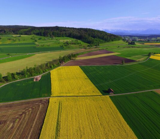 Initiative pour une alimentation sûre : un objectif louable face aux contraintes réelles Vue aérienne d'une région agricole avec champs cultivés de différentes couleurs, incluant des champs jaunes de colza, des champs verts et des terres labourées brunes, séparés par des routes sinueuses et des bandes boisées, avec des montagnes enneigées visibles à l'horizon et un petit village en arrière-plan sous un ciel bleu dégagé.